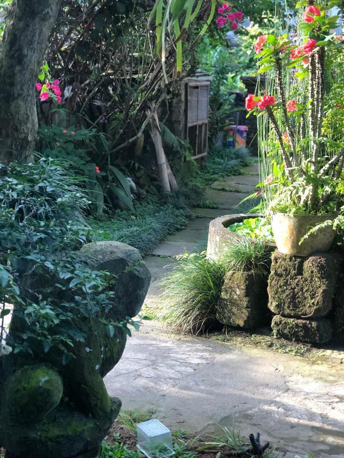 The Hidden Bali Inn Ubud  Luaran gambar