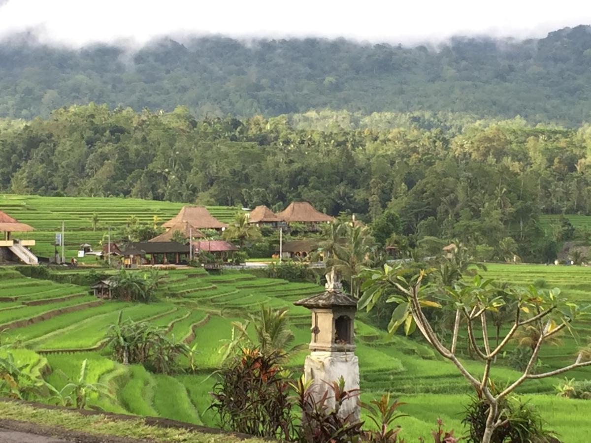 The Hidden Bali Inn Ubud  Luaran gambar