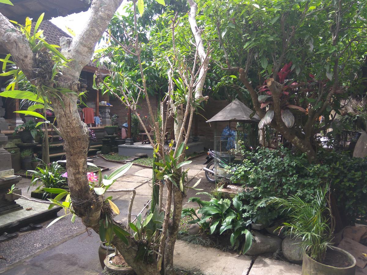 The Hidden Bali Inn Ubud  Luaran gambar